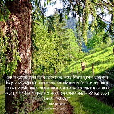 Picture 03 - দানিয়েল 9:27 BENIRV - এক সপ্তাহের জন্য - Bible Verse Picture