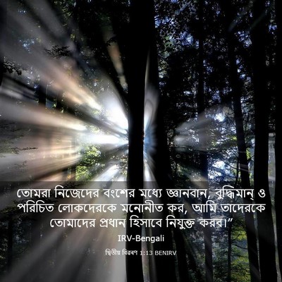 Picture 03 - দ্বিতীয় বিৱৰণ 1:13 BENIRV - তোমরা নিজেদের - Bible Verse Picture