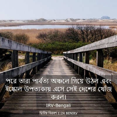 Picture 03 - দ্বিতীয় বিৱৰণ 1:24 BENIRV - পরে তারা পার্বত্য - Bible Verse Picture