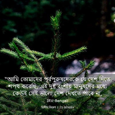 Picture 03 - দ্বিতীয় বিৱৰণ 1:35 BENIRV - “আমি তোমাদের - Bible Verse Picture