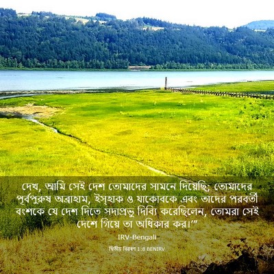 Picture 03 - দ্বিতীয় বিৱৰণ 1:8 BENIRV - দেখ, আমি সেই দেশ - Bible Verse Picture