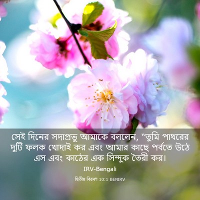Picture 03 - দ্বিতীয় বিৱৰণ 10:1 BENIRV - সেই দিনের - Bible Verse Picture