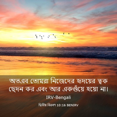 Picture 03 - দ্বিতীয় বিৱৰণ 10:16 BENIRV - অতএব তোমরা - Bible Verse Picture