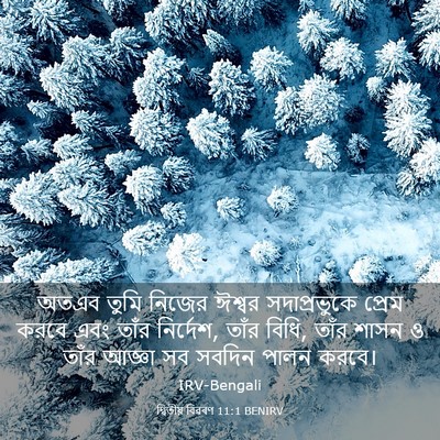 Picture 03 - দ্বিতীয় বিৱৰণ 11:1 BENIRV - অতএব তুমি নিজের - Bible Verse Picture
