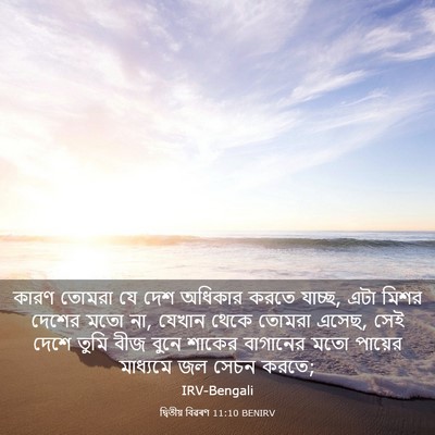 Picture 03 - দ্বিতীয় বিৱৰণ 11:10 BENIRV - কারণ তোমরা যে দেশ - Bible Verse Picture