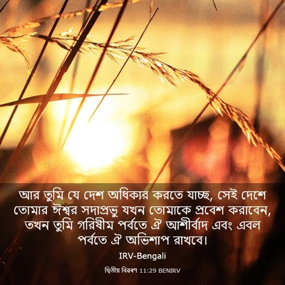 Picture 03 - দ্বিতীয় বিৱৰণ 11:29 BENIRV - আর তুমি যে দেশ - Bible Verse Picture