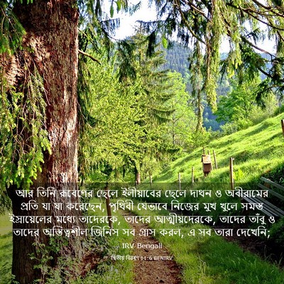 Picture 03 - দ্বিতীয় বিৱৰণ 11:6 BENIRV - আর তিনি রূবেণের - Bible Verse Picture