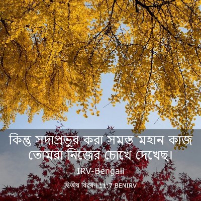 Picture 03 - দ্বিতীয় বিৱৰণ 11:7 BENIRV - কিন্তু সদাপ্রভুর - Bible Verse Picture