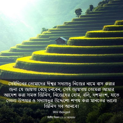 Picture 03 - দ্বিতীয় বিৱৰণ 12:11 BENIRV - সেইদিনের তোমাদের - Bible Verse Picture