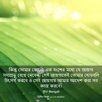 Picture 03 - দ্বিতীয় বিৱৰণ 12:14 BENIRV - কিন্তু তোমার কোনো - Bible Verse Picture