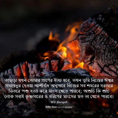 Picture 03 - দ্বিতীয় বিৱৰণ 12:15 BENIRV - তাছাড়া যখন তোমার - Bible Verse Picture