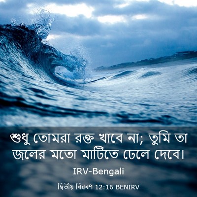 Picture 03 - দ্বিতীয় বিৱৰণ 12:16 BENIRV - শুধু তোমরা রক্ত - Bible Verse Picture