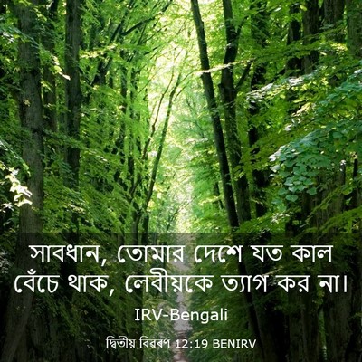 Picture 03 - দ্বিতীয় বিৱৰণ 12:19 BENIRV - সাবধান, তোমার দেশে - Bible Verse Picture