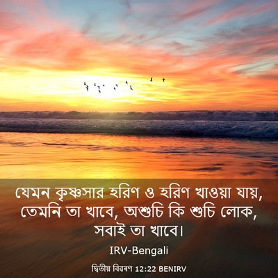 Picture 03 - দ্বিতীয় বিৱৰণ 12:22 BENIRV - যেমন কৃষ্ণসার - Bible Verse Picture