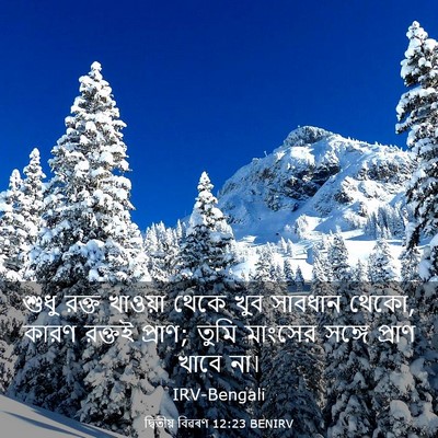 Picture 03 - দ্বিতীয় বিৱৰণ 12:23 BENIRV - শুধু রক্ত খাওয়া - Bible Verse Picture