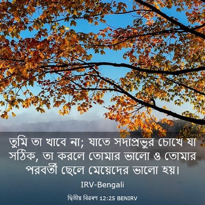 Picture 03 - দ্বিতীয় বিৱৰণ 12:25 BENIRV - তুমি তা খাবে না; - Bible Verse Picture