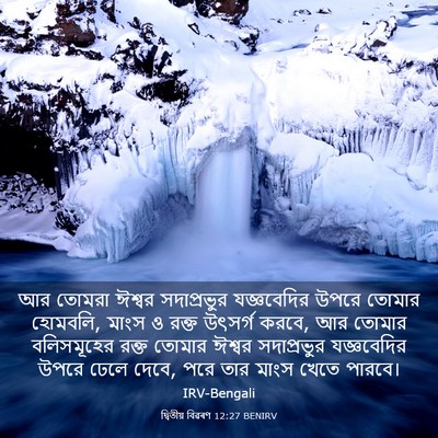 Picture 03 - দ্বিতীয় বিৱৰণ 12:27 BENIRV - আর তোমরা ঈশ্বর - Bible Verse Picture
