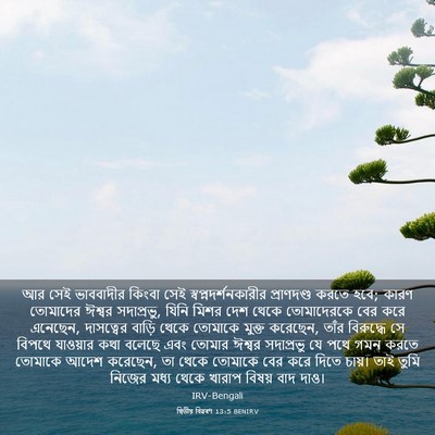 Picture 03 - দ্বিতীয় বিৱৰণ 13:5 BENIRV - আর সেই ভাববাদীর - Bible Verse Picture
