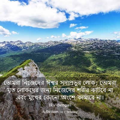 Picture 03 - দ্বিতীয় বিৱৰণ 14:1 BENIRV - তোমরা নিজেদের - Bible Verse Picture