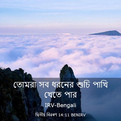 Picture 03 - দ্বিতীয় বিৱৰণ 14:11 BENIRV - তোমরা সব ধরনের - Bible Verse Picture