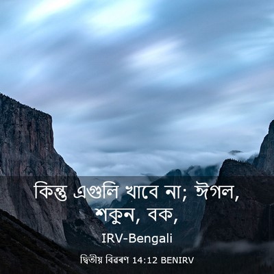 Picture 03 - দ্বিতীয় বিৱৰণ 14:12 BENIRV - কিন্তু এগুলি খাবে - Bible Verse Picture