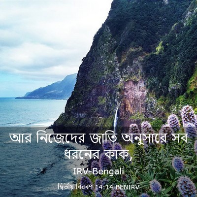 Picture 03 - দ্বিতীয় বিৱৰণ 14:14 BENIRV - আর নিজেদের জাতি - Bible Verse Picture