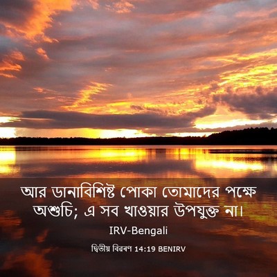 Picture 03 - দ্বিতীয় বিৱৰণ 14:19 BENIRV - আর ডানাবিশিষ্ট - Bible Verse Picture