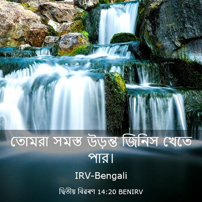 Picture 03 - দ্বিতীয় বিৱৰণ 14:20 BENIRV - তোমরা সমস্ত - Bible Verse Picture