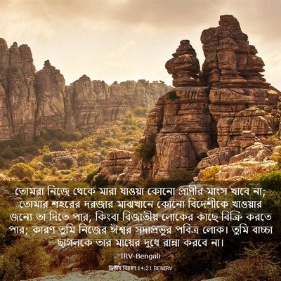 Picture 03 - দ্বিতীয় বিৱৰণ 14:21 BENIRV - তোমরা নিজে থেকে - Bible Verse Picture