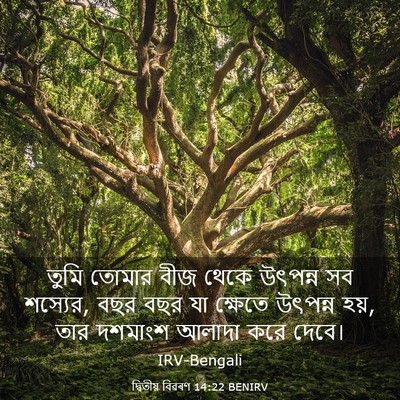 Picture 03 - দ্বিতীয় বিৱৰণ 14:22 BENIRV - তুমি তোমার বীজ - Bible Verse Picture