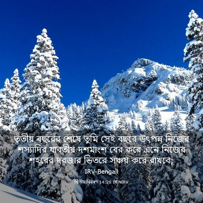 Picture 03 - দ্বিতীয় বিৱৰণ 14:28 BENIRV - তৃতীয় বছরের শেষে - Bible Verse Picture