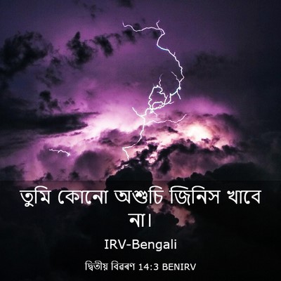 Picture 03 - দ্বিতীয় বিৱৰণ 14:3 BENIRV - তুমি কোনো অশুচি - Bible Verse Picture