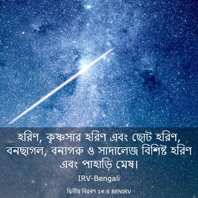 Picture 03 - দ্বিতীয় বিৱৰণ 14:5 BENIRV - হরিণ, কৃষ্ণসার - Bible Verse Picture