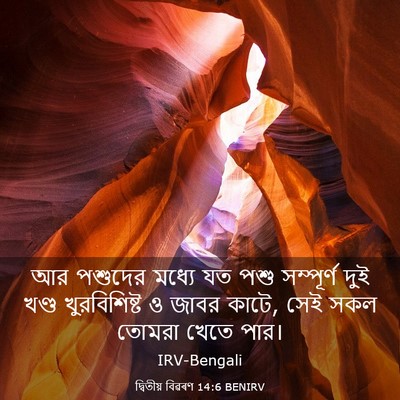 Picture 03 - দ্বিতীয় বিৱৰণ 14:6 BENIRV - আর পশুদের মধ্যে যত - Bible Verse Picture