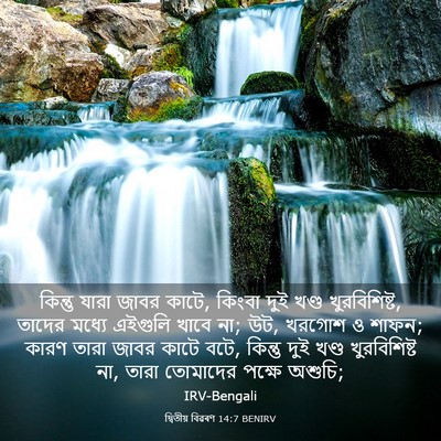 Picture 03 - দ্বিতীয় বিৱৰণ 14:7 BENIRV - কিন্তু যারা জাবর - Bible Verse Picture