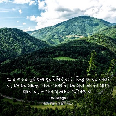 Picture 03 - দ্বিতীয় বিৱৰণ 14:8 BENIRV - আর শূকর দুই খণ্ড - Bible Verse Picture