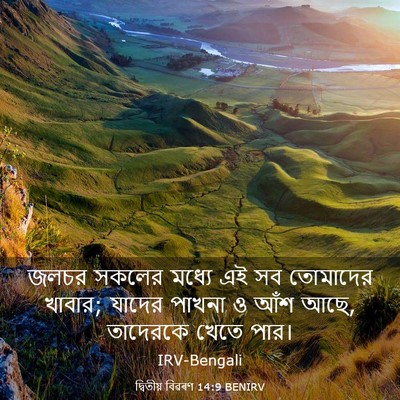 Picture 03 - দ্বিতীয় বিৱৰণ 14:9 BENIRV - জলচর সকলের মধ্যে - Bible Verse Picture