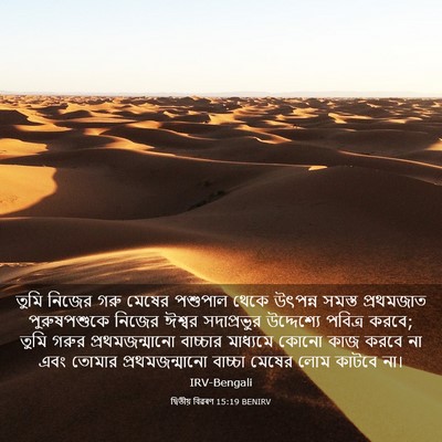 Picture 03 - দ্বিতীয় বিৱৰণ 15:19 BENIRV - তুমি নিজের গরু - Bible Verse Picture