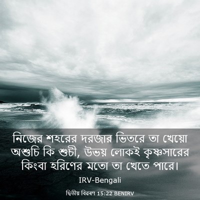 Picture 03 - দ্বিতীয় বিৱৰণ 15:22 BENIRV - নিজের শহরের দরজার - Bible Verse Picture