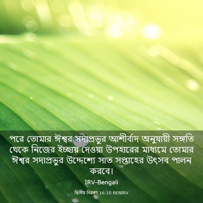 Picture 03 - দ্বিতীয় বিৱৰণ 16:10 BENIRV - পরে তোমার ঈশ্বর - Bible Verse Picture