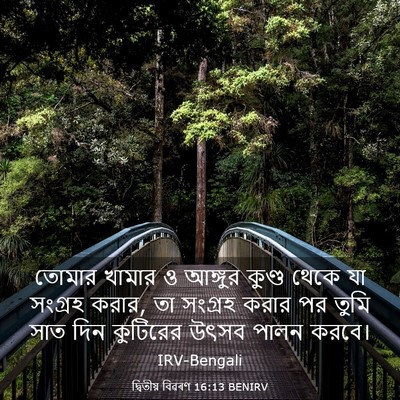 Picture 03 - দ্বিতীয় বিৱৰণ 16:13 BENIRV - তোমার খামার ও - Bible Verse Picture