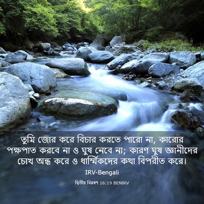 Picture 03 - দ্বিতীয় বিৱৰণ 16:19 BENIRV - তুমি জোর করে বিচার - Bible Verse Picture