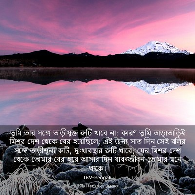 Picture 03 - দ্বিতীয় বিৱৰণ 16:3 BENIRV - তুমি তার সঙ্গে - Bible Verse Picture