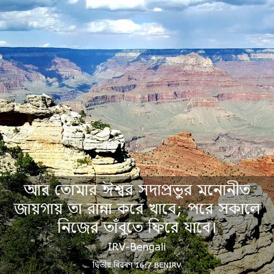 Picture 03 - দ্বিতীয় বিৱৰণ 16:7 BENIRV - আর তোমার ঈশ্বর - Bible Verse Picture