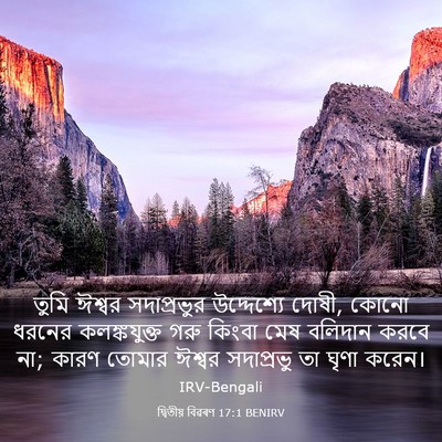 Picture 03 - দ্বিতীয় বিৱৰণ 17:1 BENIRV - তুমি ঈশ্বর - Bible Verse Picture