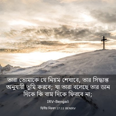 Picture 03 - দ্বিতীয় বিৱৰণ 17:11 BENIRV - তারা তোমাকে যে - Bible Verse Picture