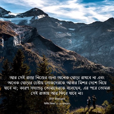 Picture 03 - দ্বিতীয় বিৱৰণ 17:16 BENIRV - আর সেই রাজা নিজের - Bible Verse Picture