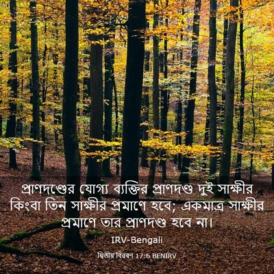 Picture 03 - দ্বিতীয় বিৱৰণ 17:6 BENIRV - প্রাণদণ্ডের যোগ্য - Bible Verse Picture