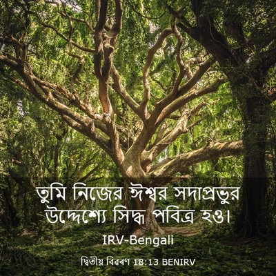 Picture 03 - দ্বিতীয় বিৱৰণ 18:13 BENIRV - তুমি নিজের ঈশ্বর - Bible Verse Picture