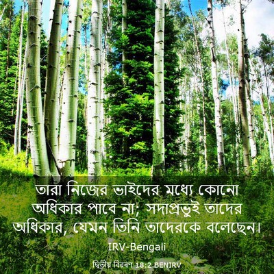 Picture 03 - দ্বিতীয় বিৱৰণ 18:2 BENIRV - তারা নিজের ভাইদের - Bible Verse Picture